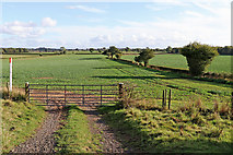 SO8297 : Bridleway and farmland east of Rudge in Shropshire by Roger  D Kidd