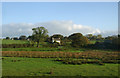 Rough grazing towards Tynewydd