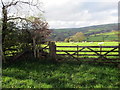 Llwybr i Felingwm Uchaf / Path to Felingwm Uchaf