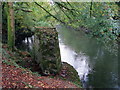 Pontdroed coll Afon Cothi / Afon Cothi lost footbridge