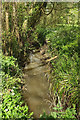 Stream near Kingswood Farm