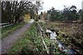 Path heading towards Kylintra Wood