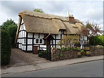 SO7845 : Newly thatched roof by Philip Halling