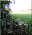 Warning - Sheep grazing - Please keep dogs on lead, Buckley