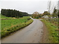 Minor road between Drumdaig and Craighead