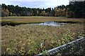 Curling pond, Grantown-on-Spey