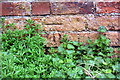 Benchmark on wall beside Coventry Canal