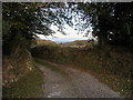 Bend in track to Blaencwm