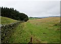 NT5030 : Borders  Abbeys  Way  toward  Lindean  Moor by Martin Dawes
