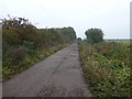 Footpath and farm track beside Langholme Wood