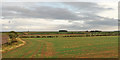 NU1036 : Farmland east of East Coast Main Line by Robin Webster
