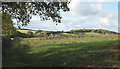 Countryside around Long Lane