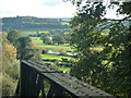 The River Wye (Whitney-on-Wye)