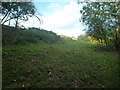 Hill above Whitney-on-Wye