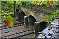 Eastern face of Frimley Aqueduct