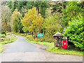 Deciduous trees beside road entering Glenbranter estate