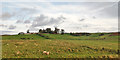 NU1530 : Low-lying fields by Winlaw Burn by Robin Webster