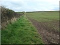 NY5147 : Public footpath heading east to Towngate, Ainstable by Christine Johnstone