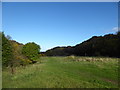 Field near Hope Valley