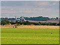 TL4645 : Duxford Airfield by David Dixon