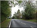 Entering Black Notley on Witham Road