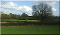 Fields near Gloyn Bridge