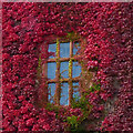 SJ2106 : A window in the courtyard at Powis Castle by Robin Drayton