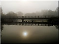 SP8161 : River Nene Footbridge near Billing Mill by David Dixon