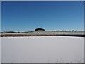 Frozen irrigation pond