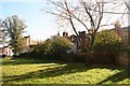 House backs, Louise Road, viewed from the Racecourse (1)