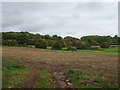 Stubble field off the A48, Caer-went