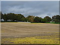 ST4990 : Stubble field, Bentley Green by JThomas
