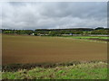 Field towards the M48 Motorway