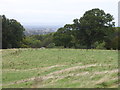 Field on the Cheltenham Circular Footpath