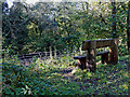 Railway and bench seat near Highley in Shropshire