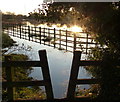 Flooded horse paddocks next to the River Biam