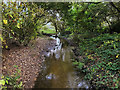 Smithy Brook at Greenslate Water Meadows