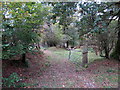 Llwybr Cwm Coch / Cwm Coch Path