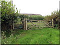 Llwybr ger Cefn Meiros / Path near Cefn Meiros