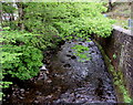 Upstream along Afon Giedd, Cwmgiedd, Powys