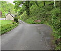 Passing place on the east side of Heol Giedd, Cwmgiedd, Powys