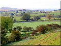 NZ0020 : Farmland south-west of Gueswick Hills by Andrew Curtis