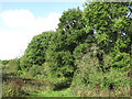 Footpath south of Batchworth Lane