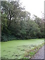 The Monmouthshire & Brecon Canal