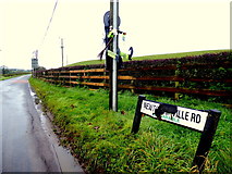 H5159 : Low flying witch collides with pole along Newtownsaville Road by Kenneth  Allen