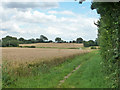 Footpath towards Mashbury Road