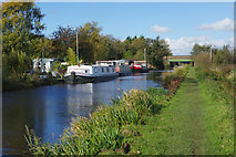 SD4616 : Leeds and Liverpool Canal, near Spark Bridge by Stephen McKay