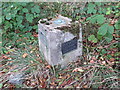 Ordnance Survey Fundamental Benchmark