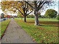 Path in Valley Parkway