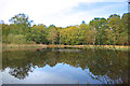 New Pond, Gerrards Cross Common